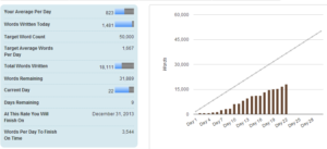 Day 22 of NANO 2013 End